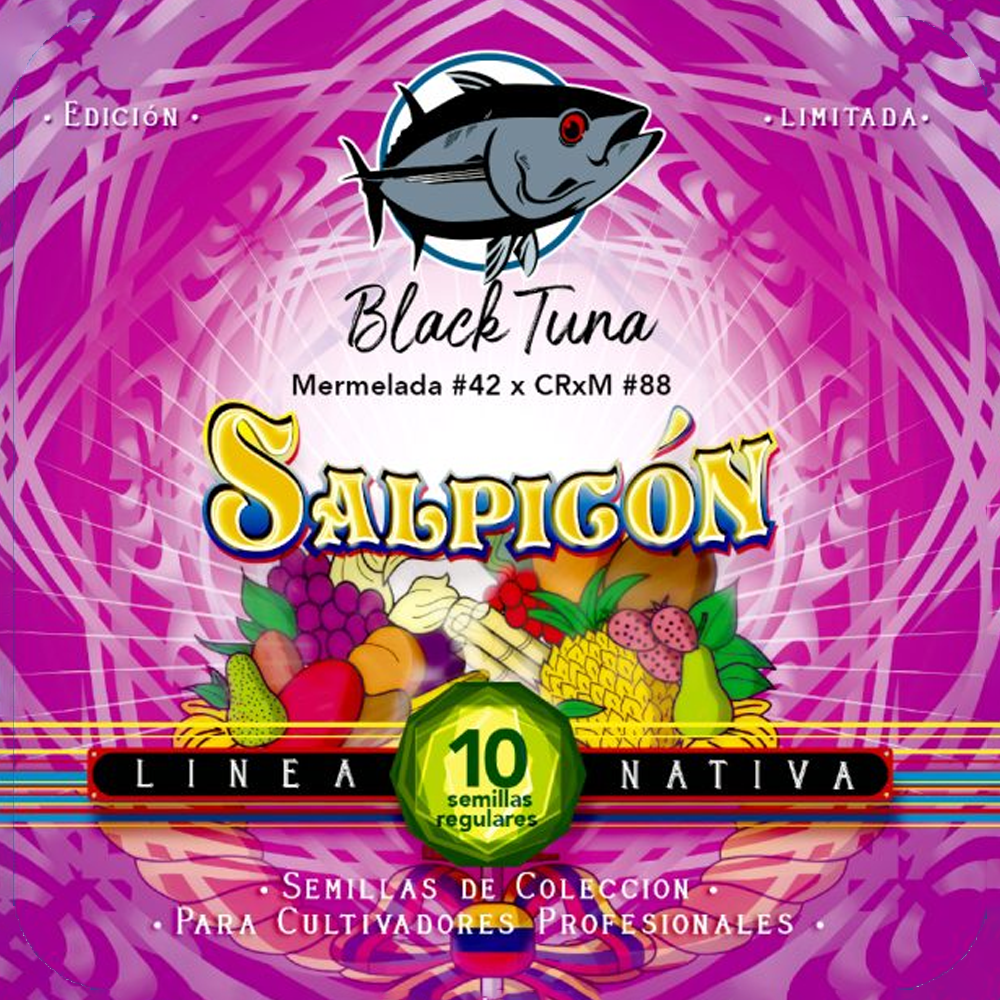 SALPICÓN REGULAR CANNABIS SEEDS BY BLACK TUNA SEEDS