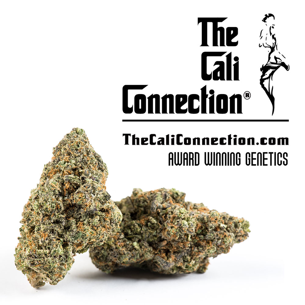 Cali Connection Wholesale