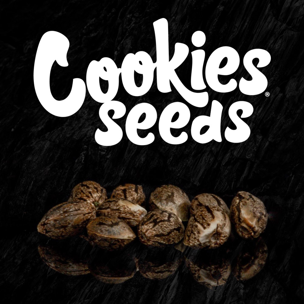 Cookies Seed Bank Wholesale