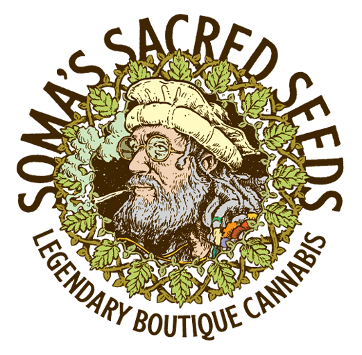 Soma Seeds wholesale