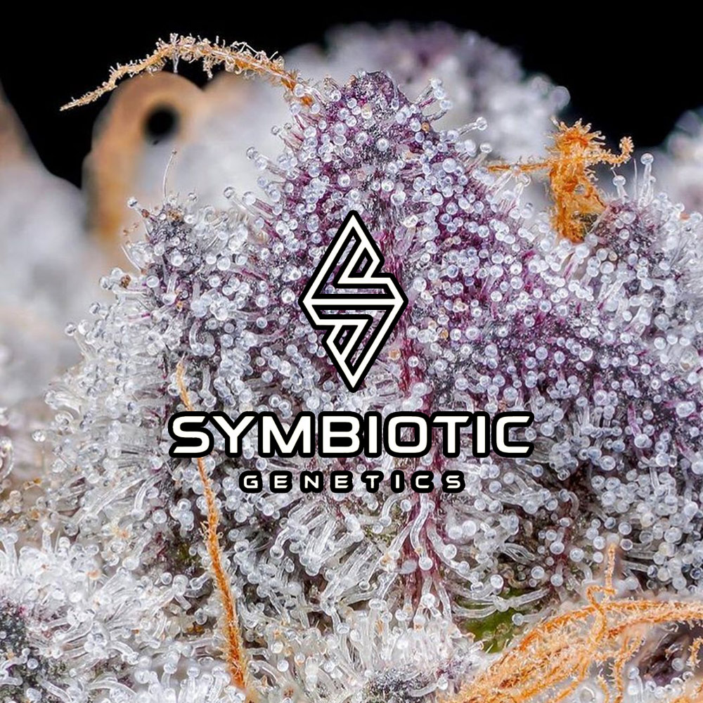 Symbiotic Genetics Wholesale