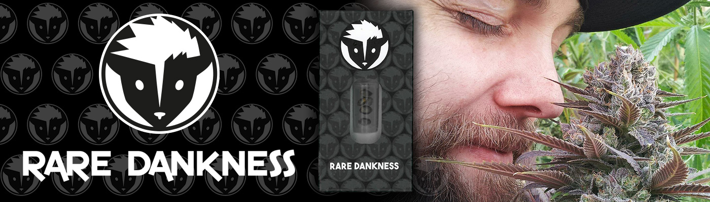 Rare Dankness Cannabis Seeds - Full Seed Range Available