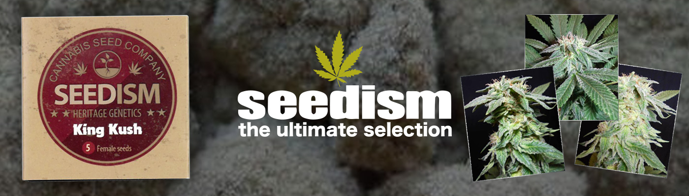 Seedism Cannabis Seeds - Official Distributor