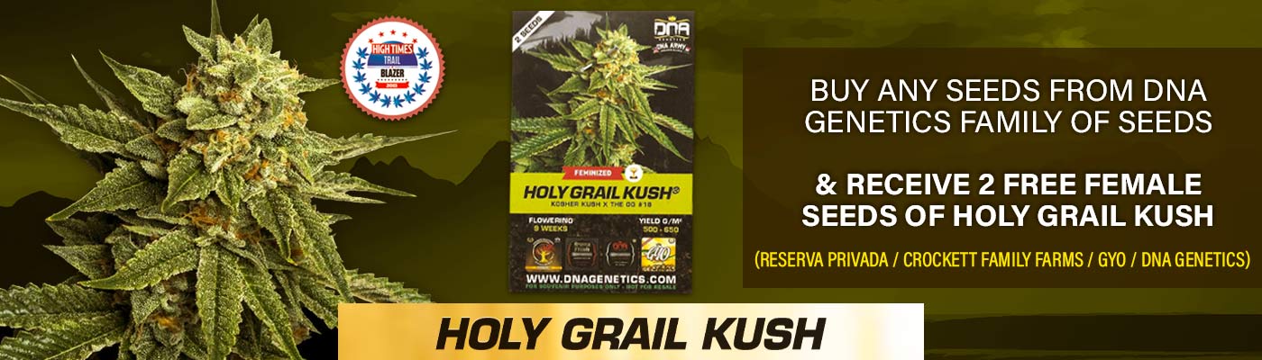 DNA Genetics Cannabis Seeds - UK & Europe Distributor